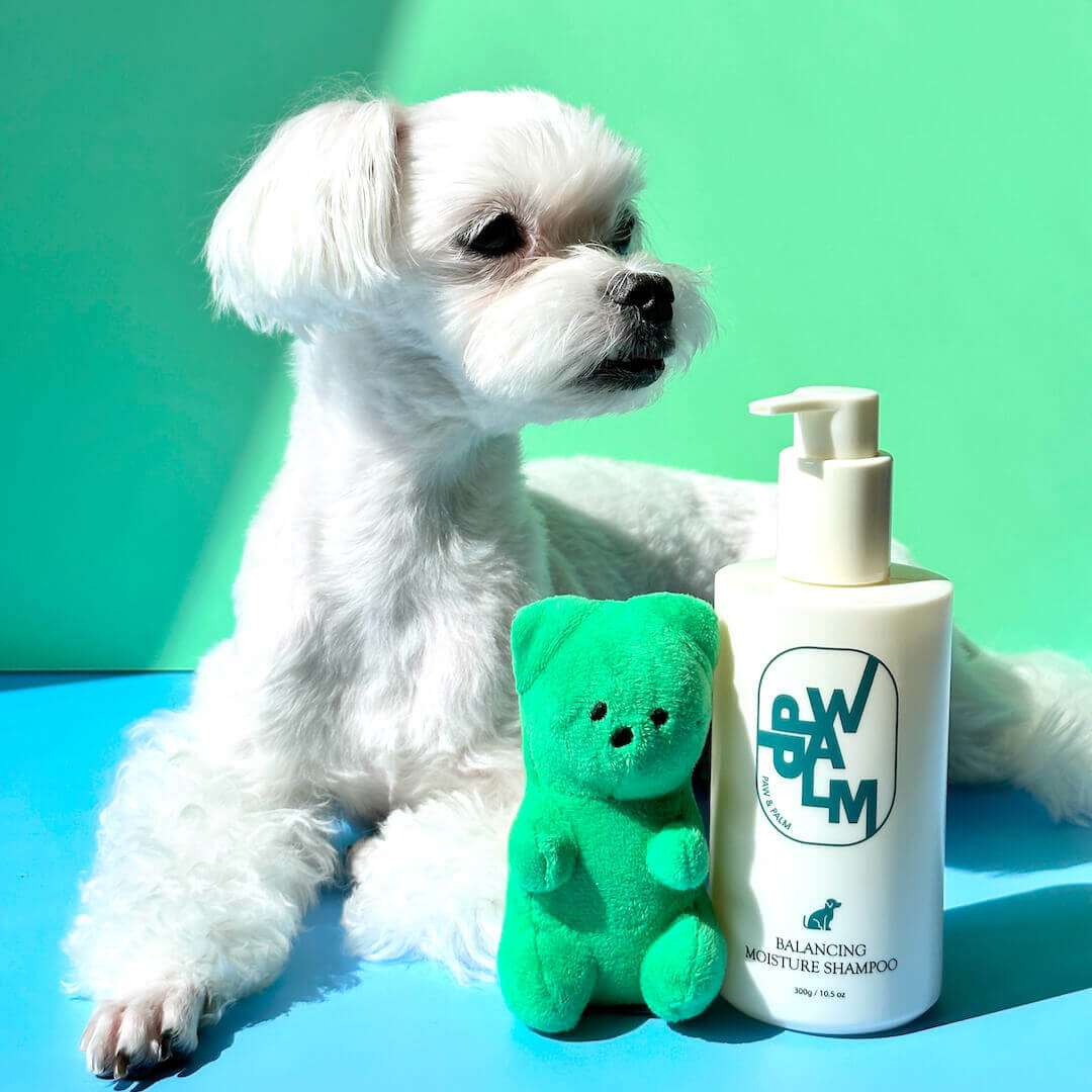 Korean dog shampoo from Paw & Palm