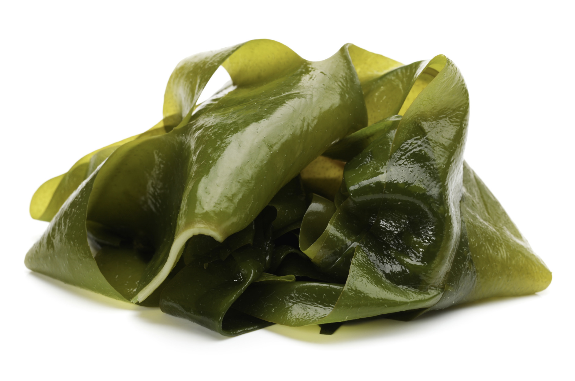 Seaweed in skincare